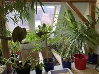 86409705-1F87-49E4-B46B-DB1044BD4608.jpeg