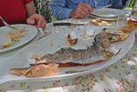 IMG_5631 - Copy.JPG