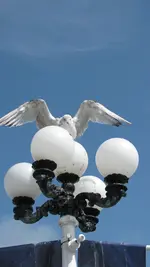 02brighton (17).webp