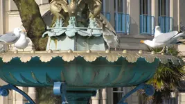 003 Torquay (13).webp