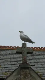 004 St. Ives (38).webp