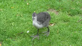 IMG_7570.webp