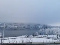 1641481387831.webp