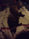 DSCF2370.JPG