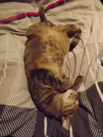 DSCF2632.webp