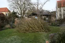 Jan.  0121.webp