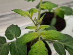 20220107_123346.jpg