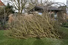 Jan.  0221.webp