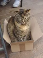 DSCF2604.webp