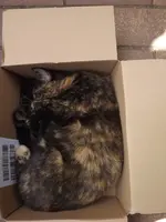 DSCF3093.webp