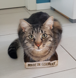 20191226_195634.webp