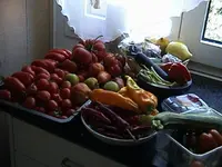 DSC00020.webp