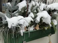 Bild 040.webp