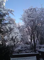 DSC00198.webp
