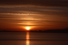 IMG_4695(1).webp