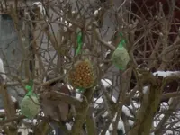 SANY0109.webp
