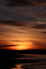 IMG_4753(1).webp