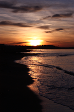 IMG_4762(1).webp