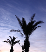 IMG_4772(1).webp