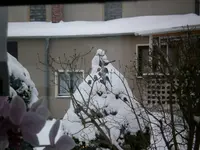 SANY0115.webp
