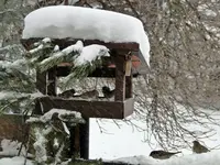 bild 3 070.webp