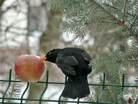 bild 3 174.webp