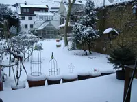 IMGP2391.webp