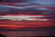 IMG_4801(2).webp