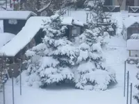 winterlich 004.webp