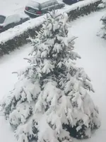 winterlich 001.webp