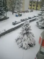 winterlich 002.webp