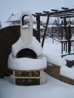 Garten Januar 2010 003.webp