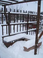Garten Januar 2010 004.webp