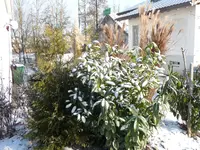 P1020225.webp