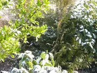 P1020226.webp