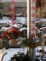 P1020217.webp