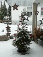 P1020256.webp
