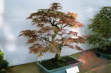 File0699.webp