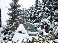 JD500366.webp