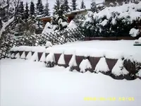 14545.webp