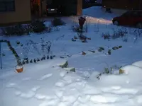 Gemuesegarten im Schnee.webp