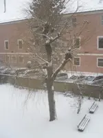 SDC11644.webp