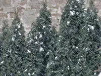 bild 4 069.webp
