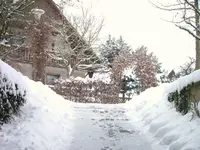 DSCF0539.webp