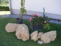 DSCF5760.webp