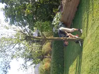 DSCF5877.webp