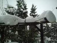 PIC00198.webp