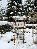 SA500187.webp