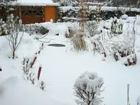 SA500200.webp