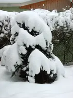 SA500212.webp